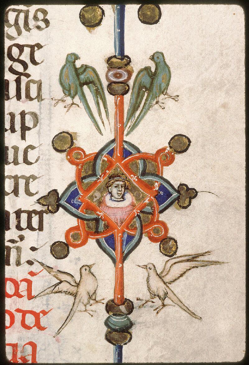 Avignon, Bibl. mun., ms. 0138, f. 011 - vue 5
