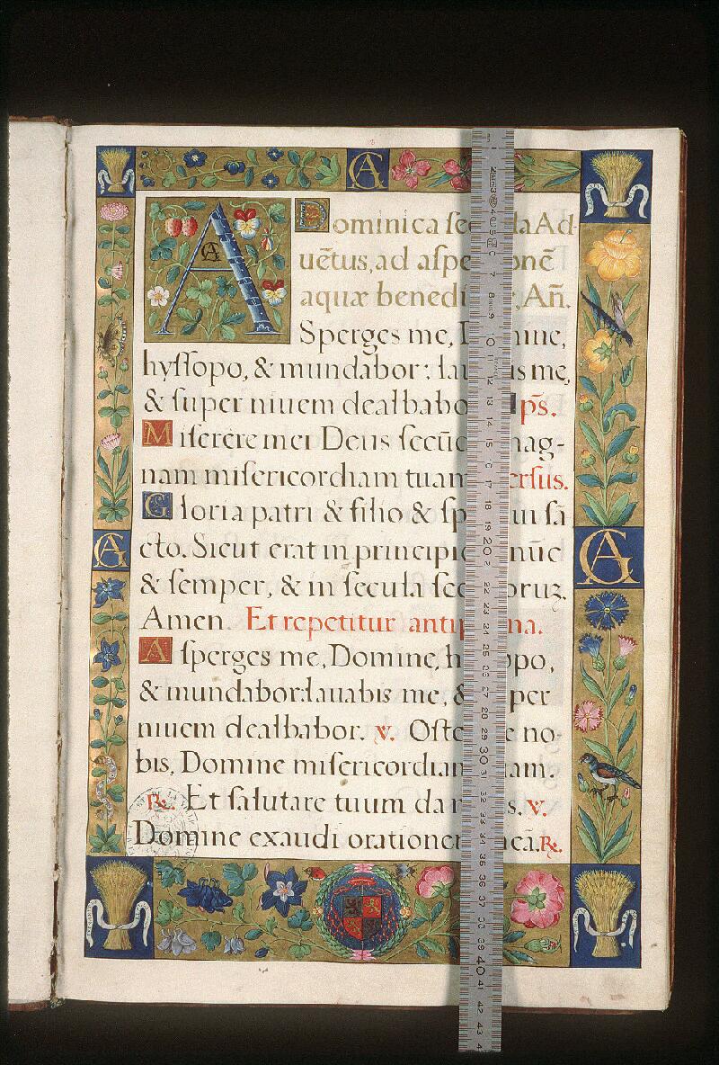 Avignon, Bibl. mun., ms. 0146, f. 001 - vue 1