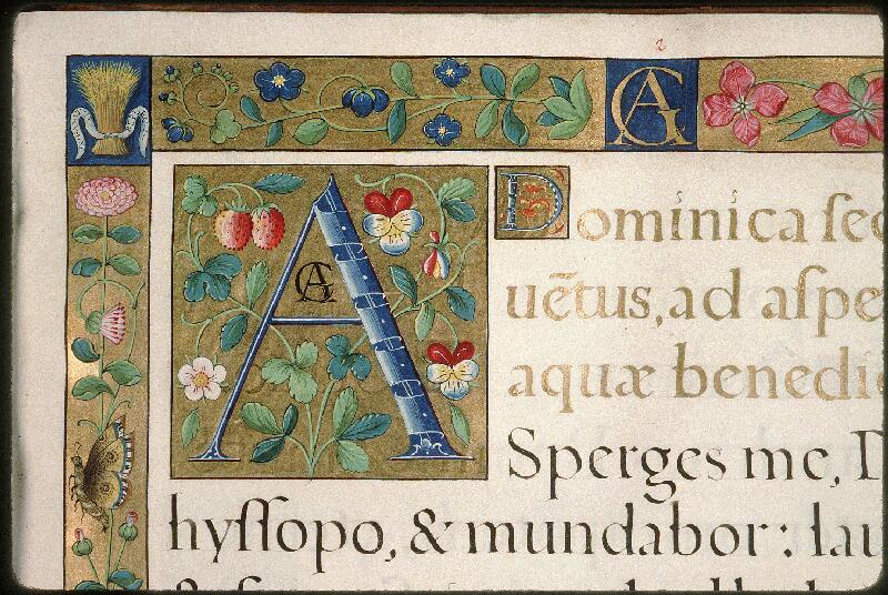 Avignon, Bibl. mun., ms. 0146, f. 001 - vue 3