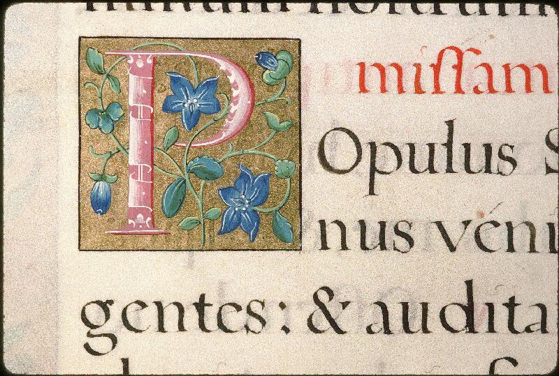 Avignon, Bibl. mun., ms. 0146, f. 001v - vue 2