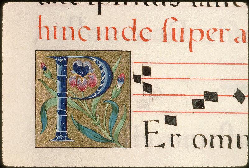 Avignon, Bibl. mun., ms. 0146, f. 011