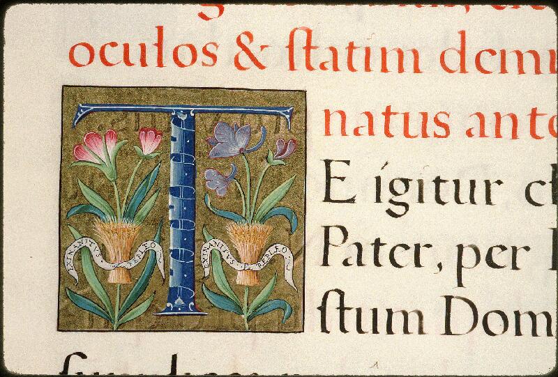 Avignon, Bibl. mun., ms. 0146, f. 013 - vue 2