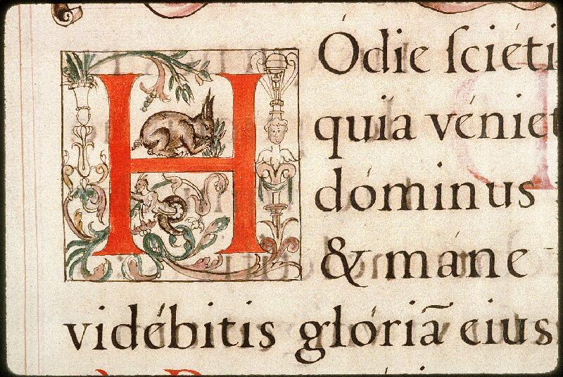 Avignon, Bibl. mun., ms. 0148, f. 109 - vue 2