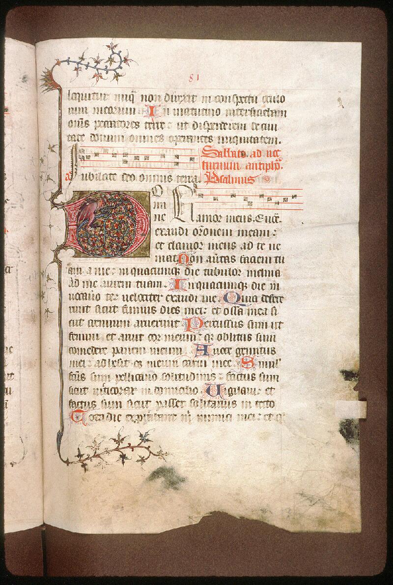 Avignon, Bibl. mun., ms. 0188, f. 081 - vue 1