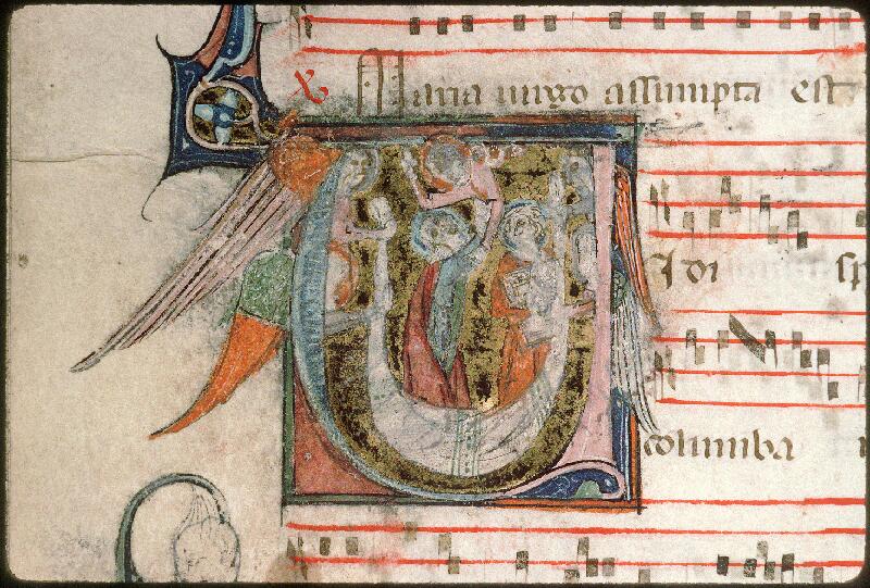 Avignon, Bibl. mun., ms. 0190, f. 186v