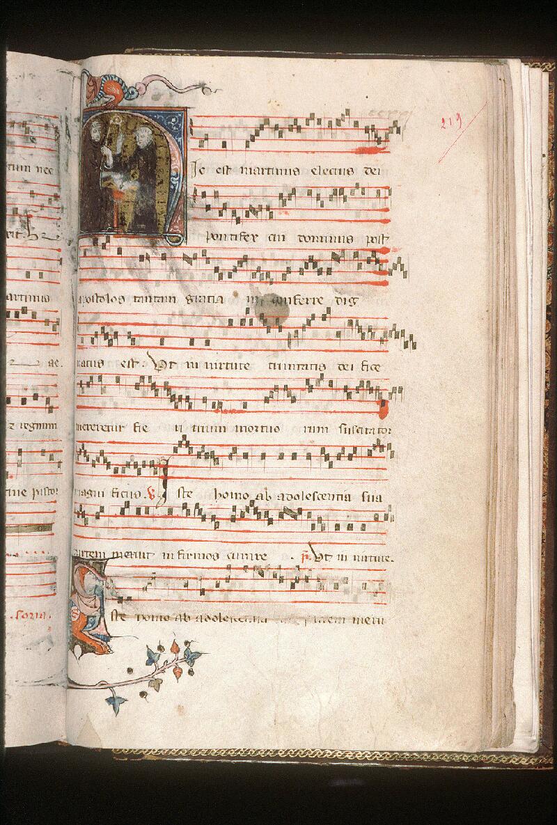 Avignon, Bibl. mun., ms. 0190, f. 219 - vue 1