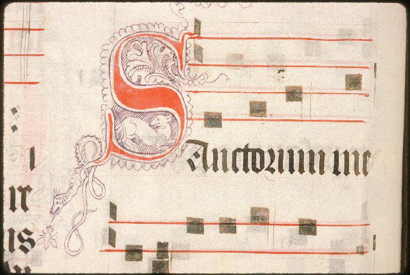Avignon, Bibl. mun., ms. 0192, f. 239v