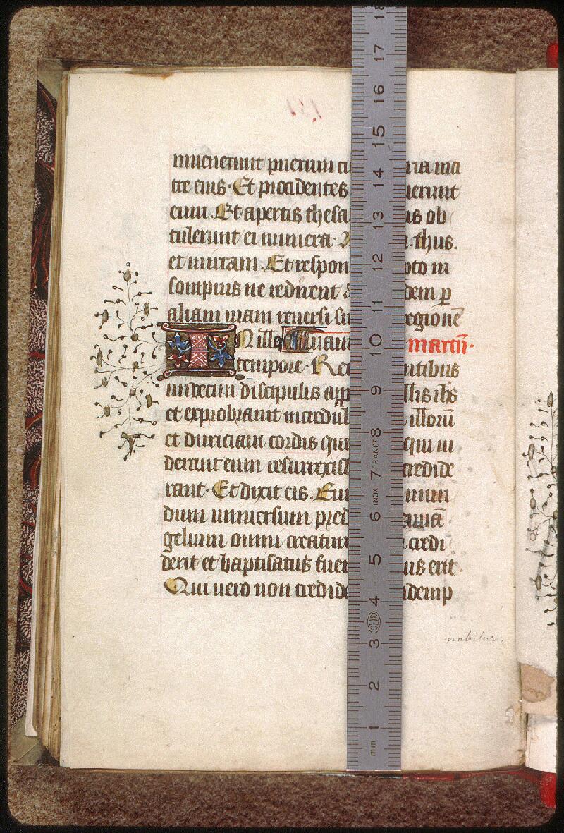 Avignon, Bibl. mun., ms. 0210, f. 151v - vue 1