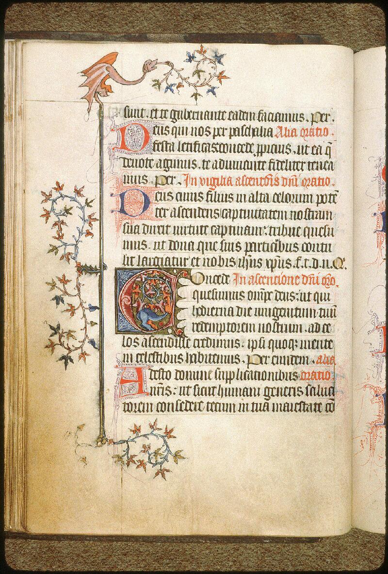 Avignon, Bibl. mun., ms. 0221, f. 045v - vue 1