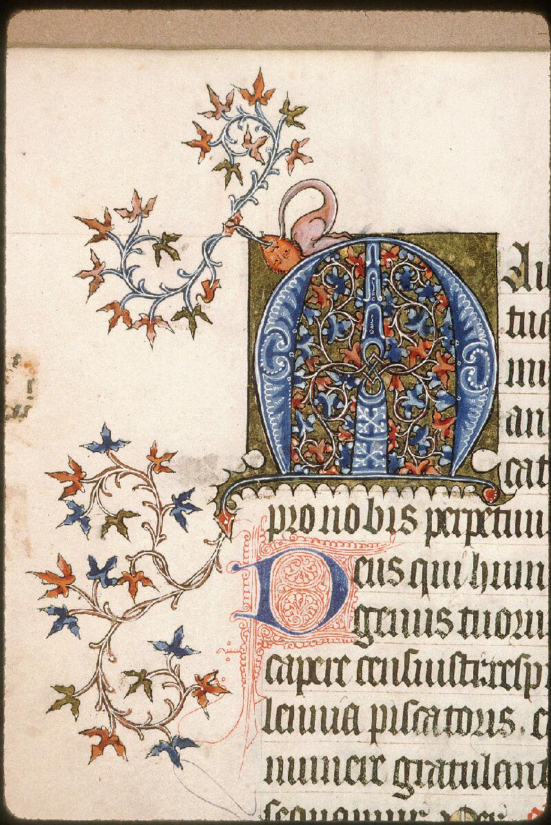 Avignon, Bibl. mun., ms. 0221, f. 053v - vue 2