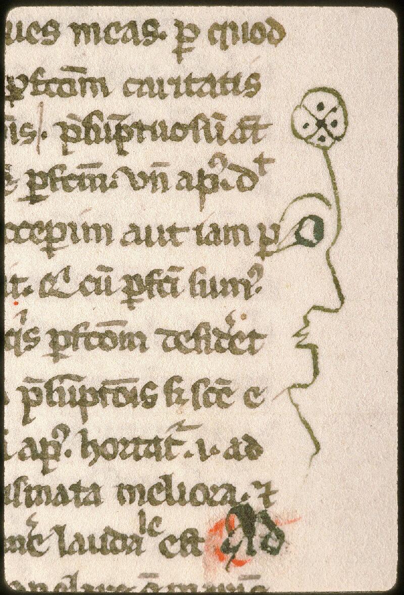 Avignon, Bibl. mun., ms. 0252, f. 001v - vue 2