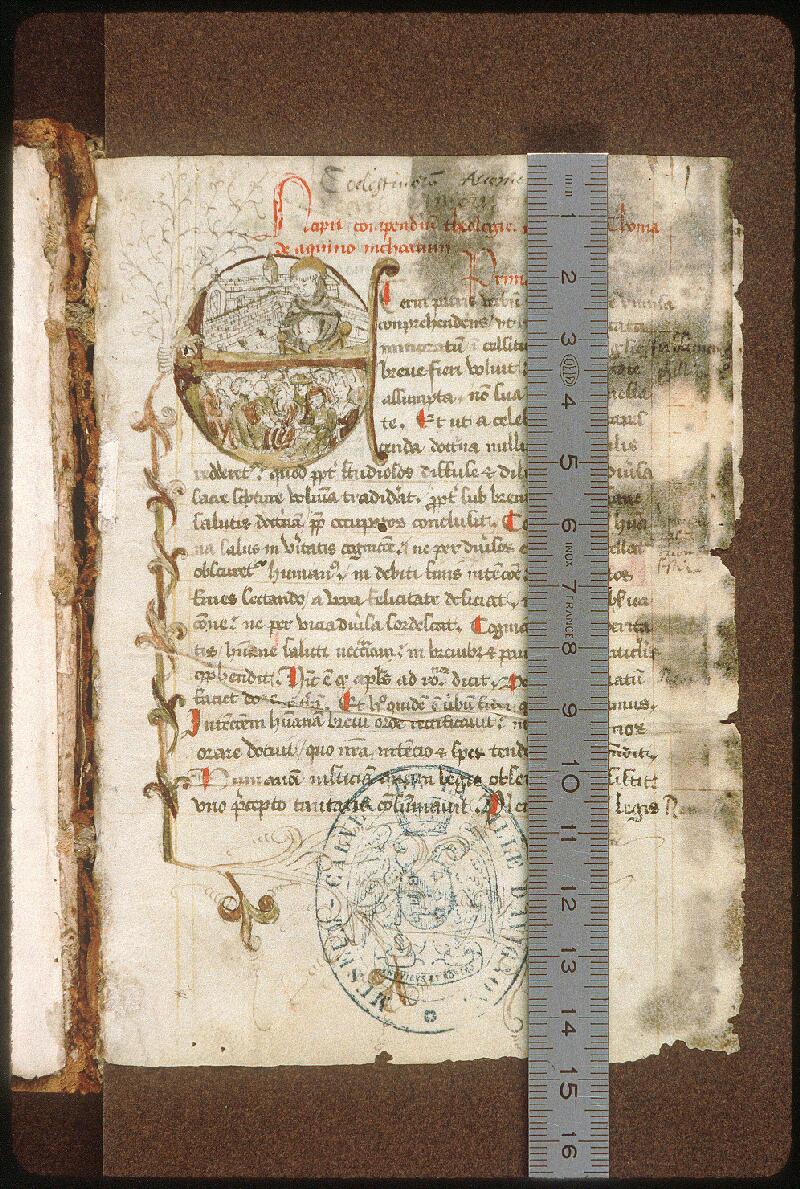 Avignon, Bibl. mun., ms. 0262, f. 001 - vue 1