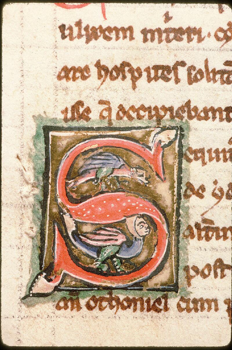 Avignon, Bibl. mun., ms. 0286, f. 064v