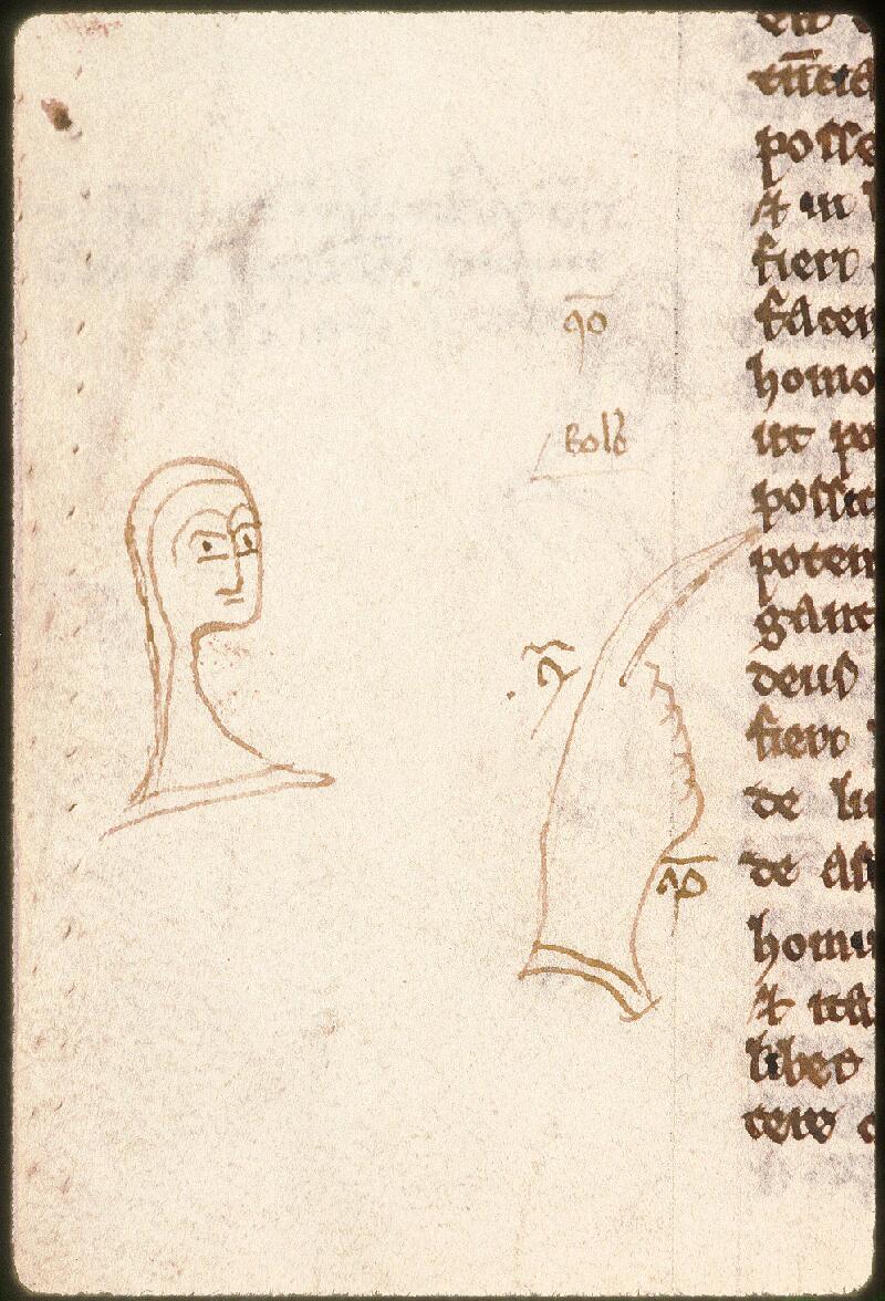 Avignon, Bibl. mun., ms. 0290, f. 163v