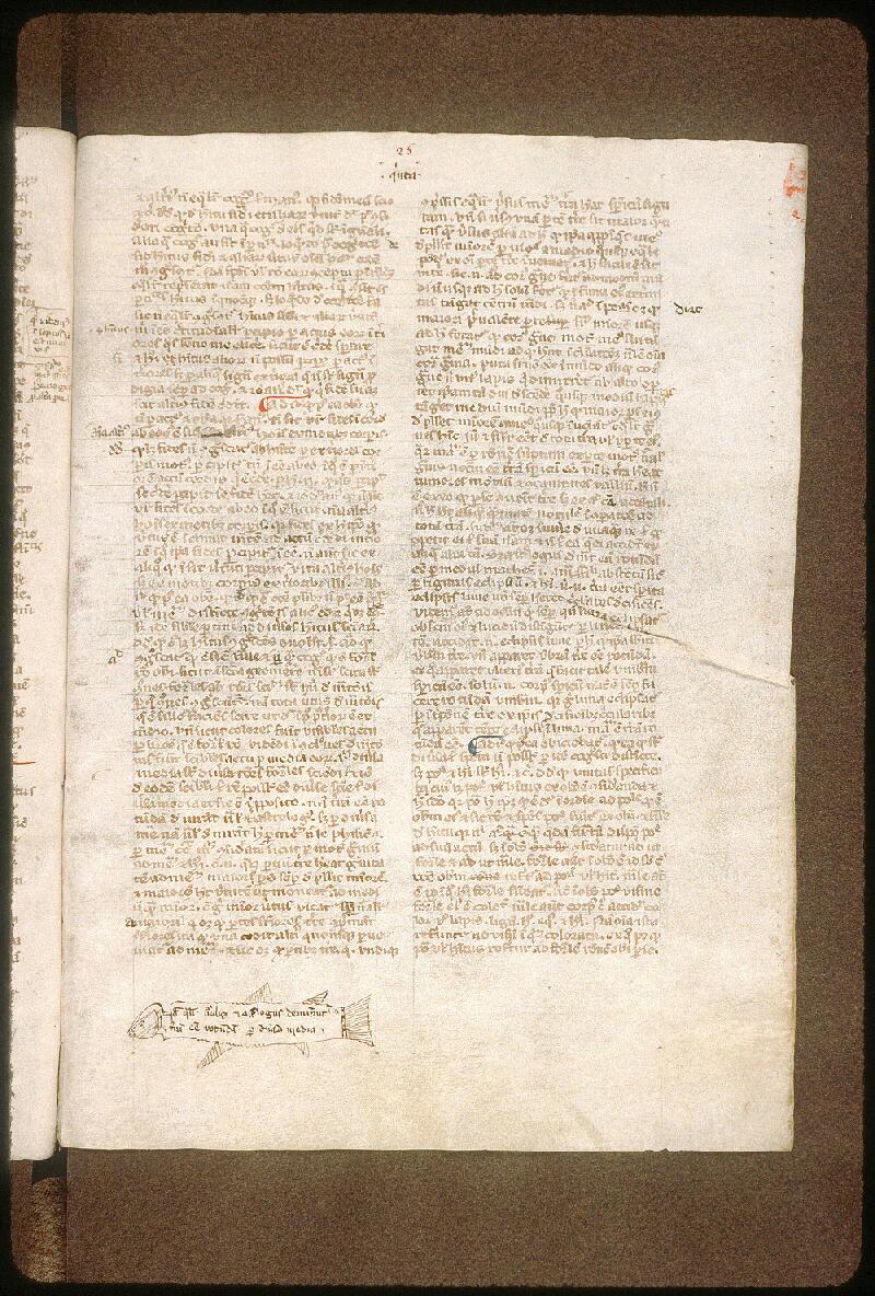 Avignon, Bibl. mun., ms. 0298, f. 025 - vue 2