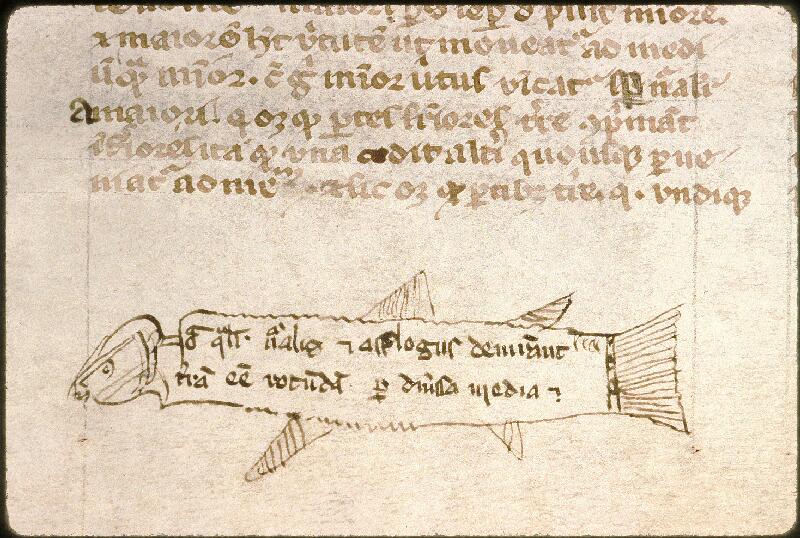 Avignon, Bibl. mun., ms. 0298, f. 025 - vue 3