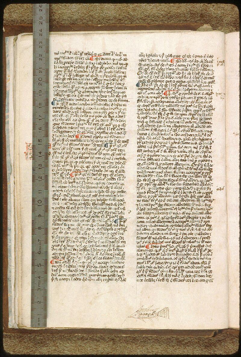 Avignon, Bibl. mun., ms. 0300, f. 012v - vue 1