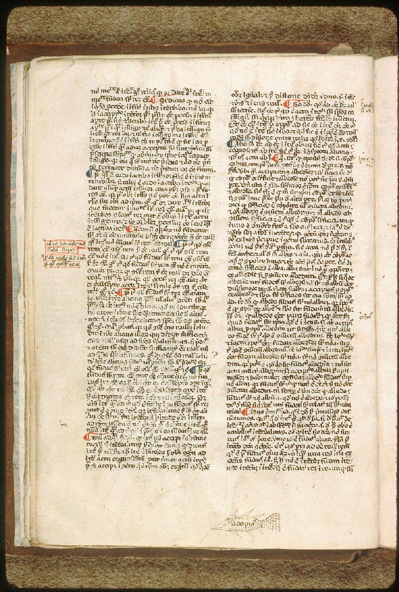 Avignon, Bibl. mun., ms. 0300, f. 012v - vue 2