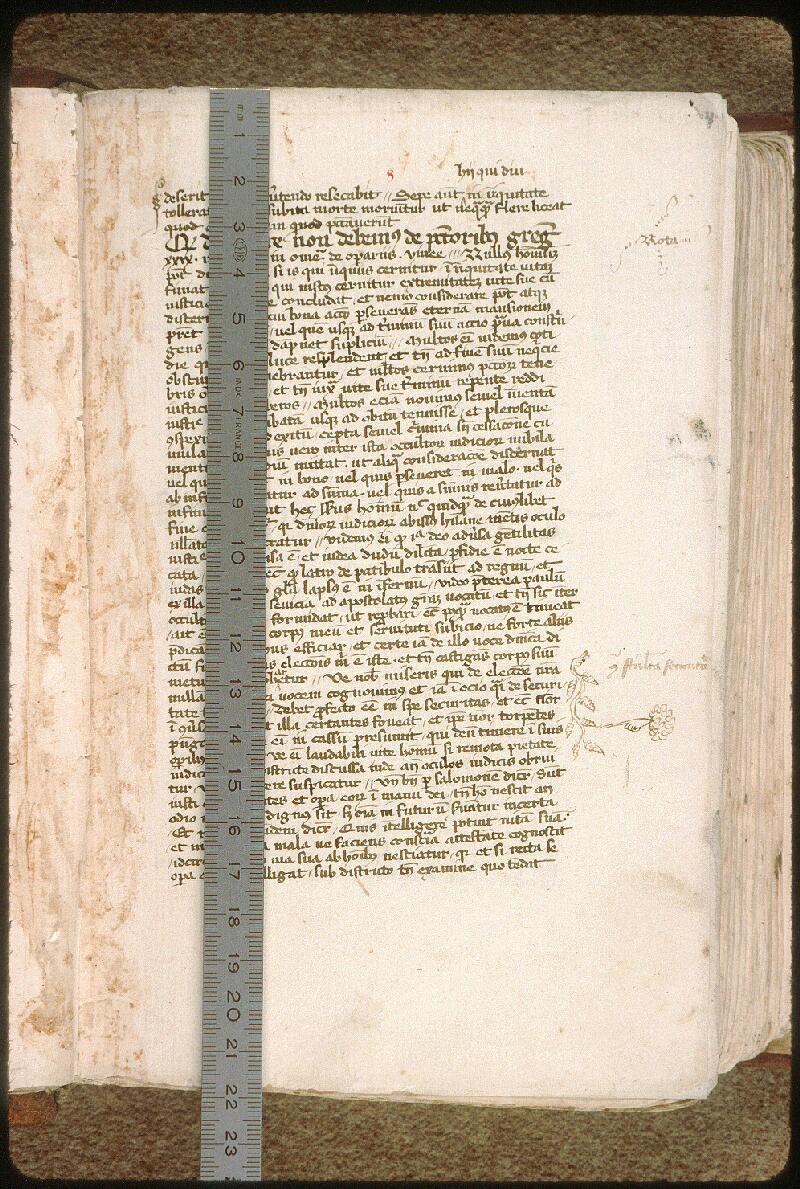 Avignon, Bibl. mun., ms. 0315, f. 008 - vue 1