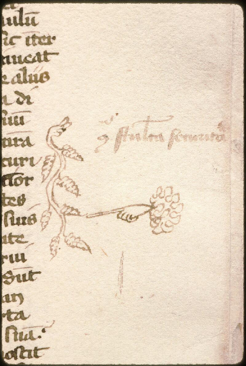 Avignon, Bibl. mun., ms. 0315, f. 008 - vue 3