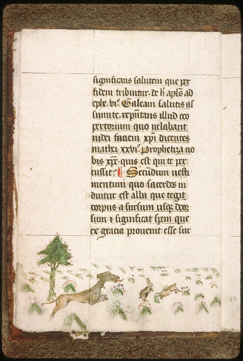 Avignon, Bibl. mun., ms. 0326, f. 001v - vue 1