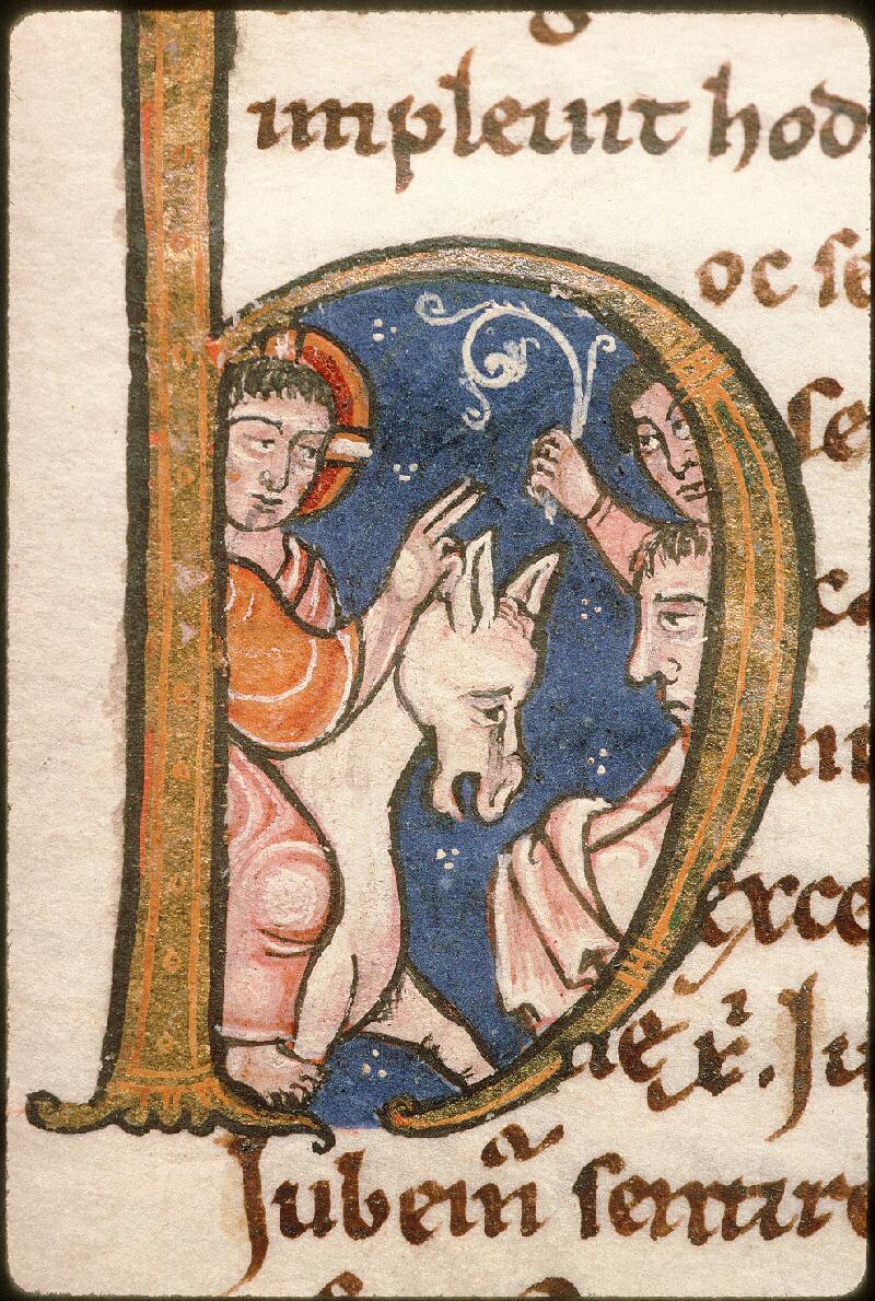 Avignon, Bibl. mun., ms. 0593, f. 022 - vue 2