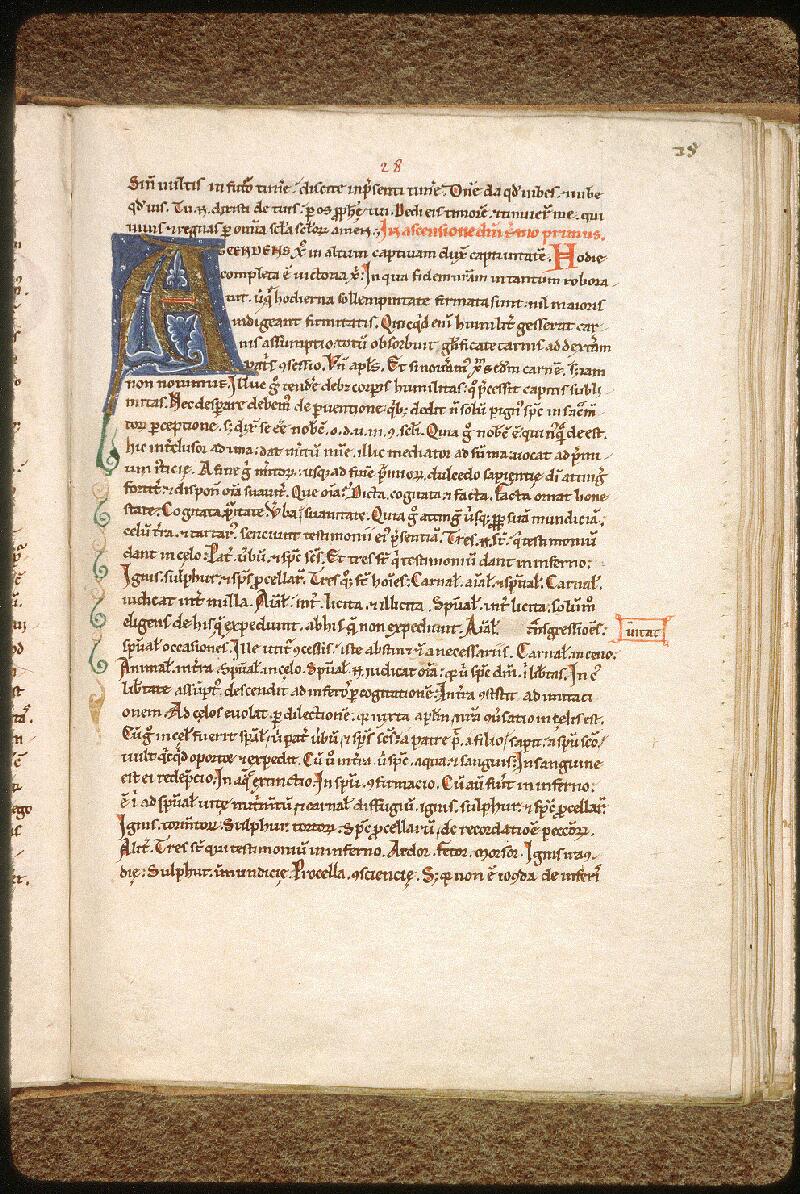 Avignon, Bibl. mun., ms. 0593, f. 028