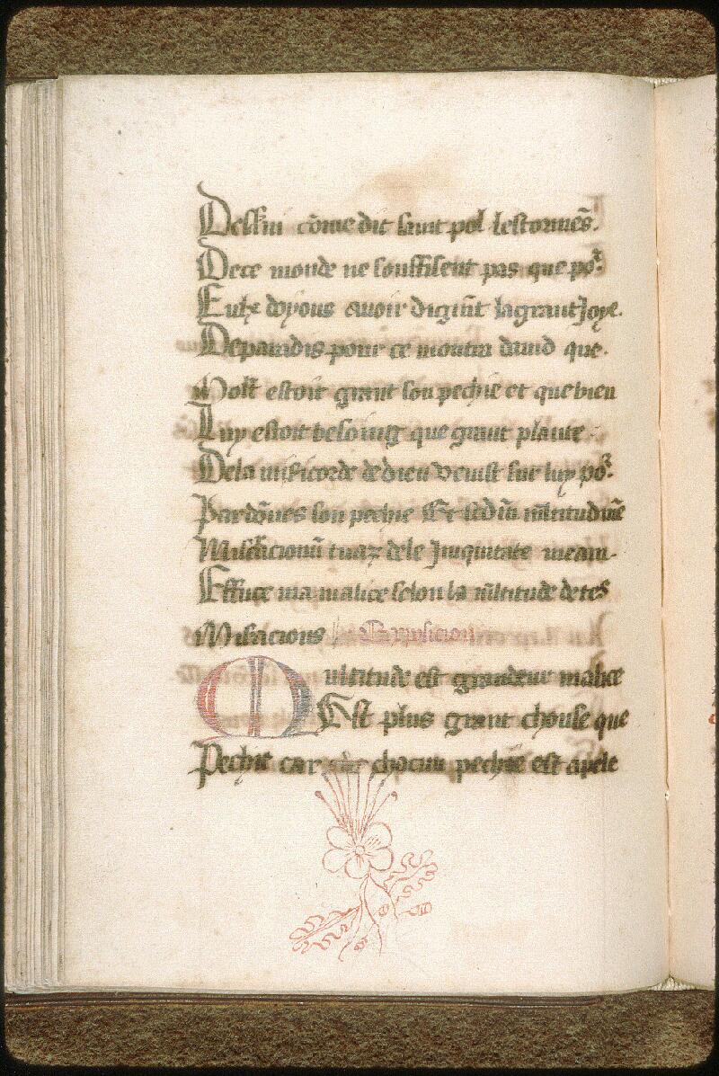 Avignon, Bibl. mun., ms. 0615, f. 041v - vue 2
