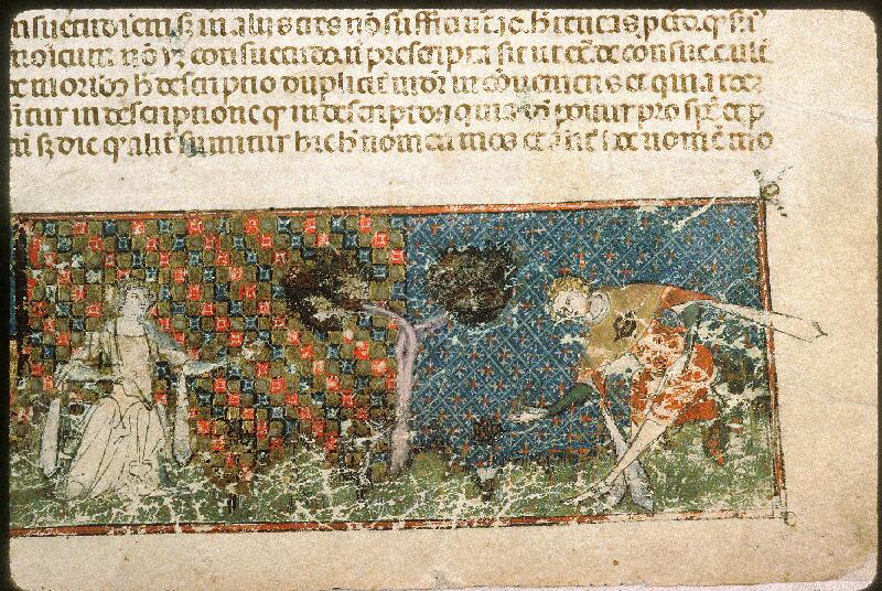 Avignon, Bibl. mun., ms. 0659, f. 002 - vue 13