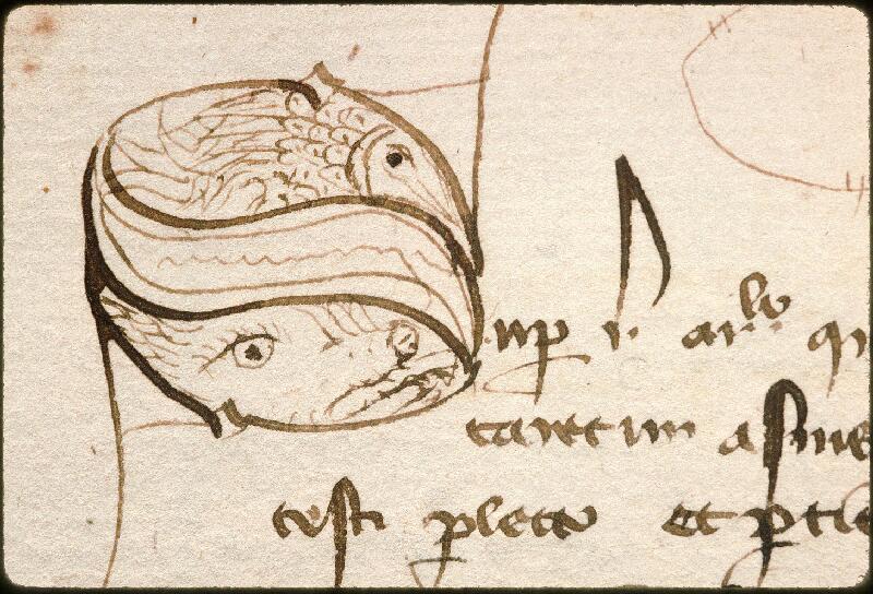 Avignon, Bibl. mun., ms. 0698, f. 155v - vue 3