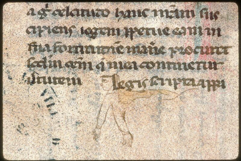 Avignon, Bibl. mun., ms. 0728, contre-plat sup. - vue 3