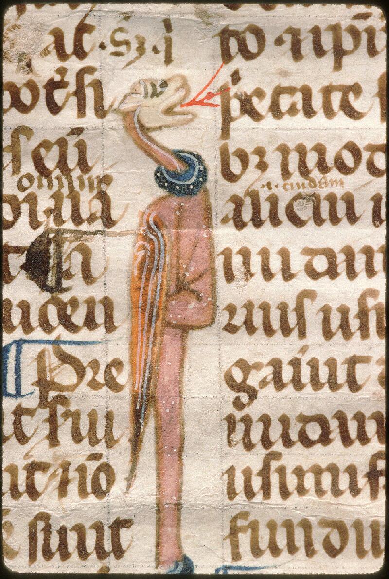 Avignon, Bibl. mun., ms. 0749, f. 004v - vue 2
