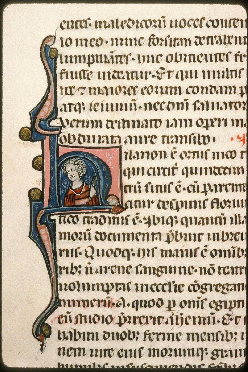 Avignon, Bibl. mun., ms. 1355, f. 031v - vue 2