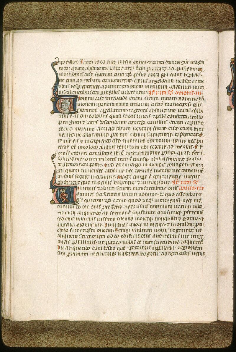 Avignon, Bibl. mun., ms. 1355, f. 052v - vue 1