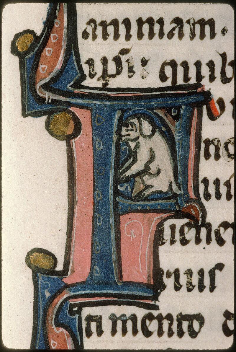 Avignon, Bibl. mun., ms. 1355, f. 065