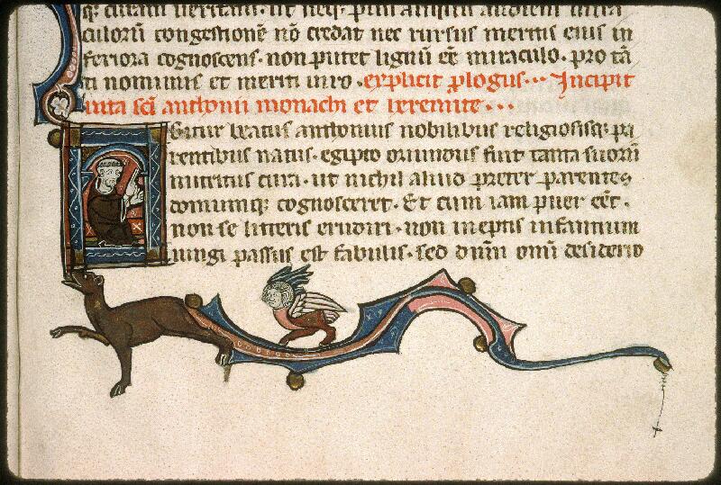 Avignon, Bibl. mun., ms. 1355, f. 006 - vue 2