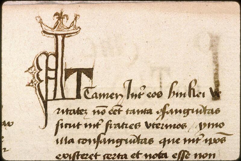 Avignon, Bibl. mun., ms. 0764, f. 137v - vue 2