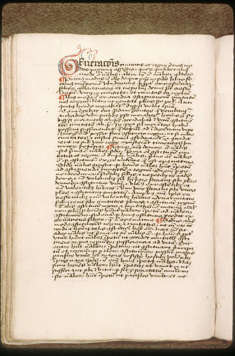 Avignon, Bibl. mun., ms. 0765, f. 143v - vue 2