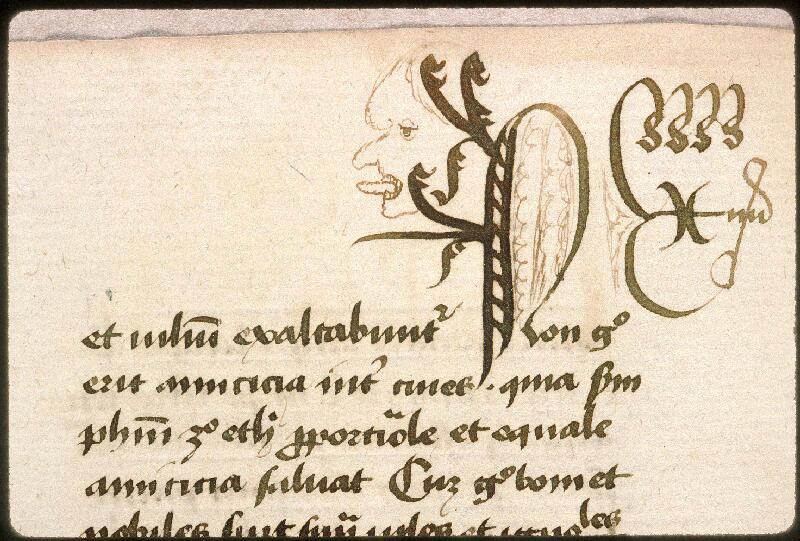 Avignon, Bibl. mun., ms. 0764, f. 136v