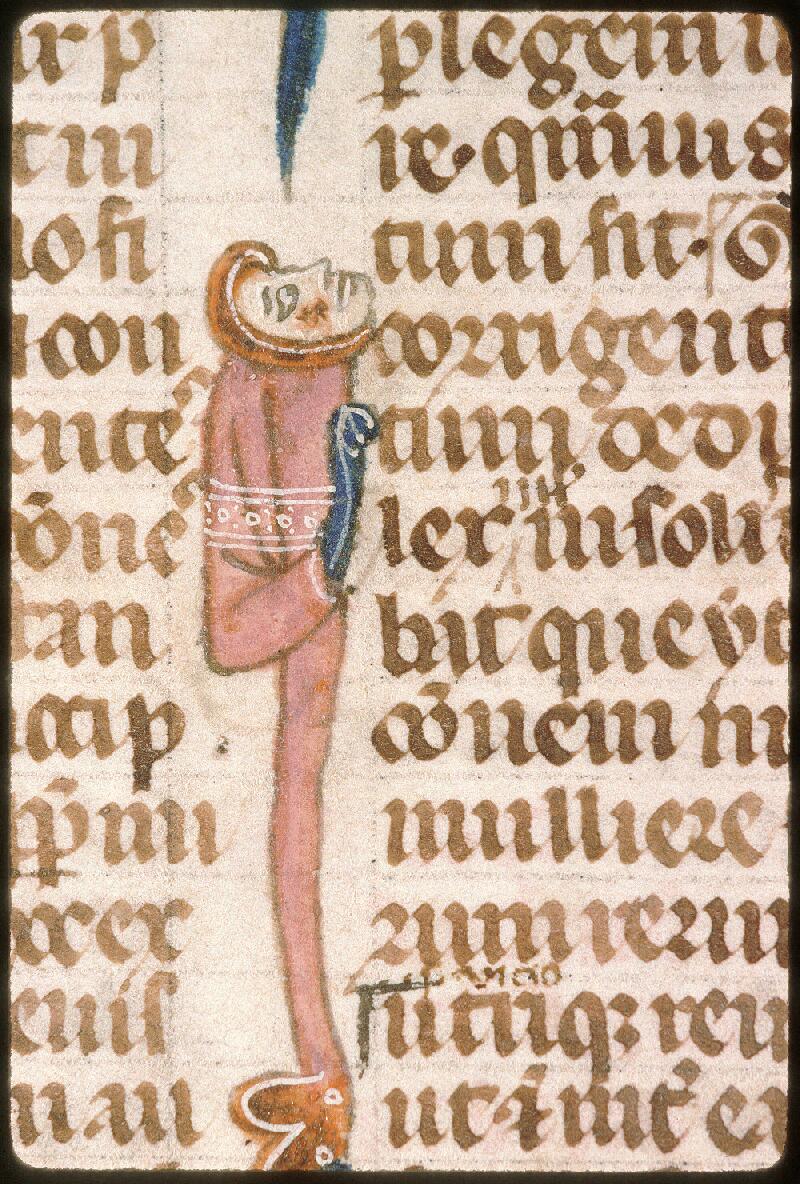 Avignon, Bibl. mun., ms. 0749, f. 006v - vue 2