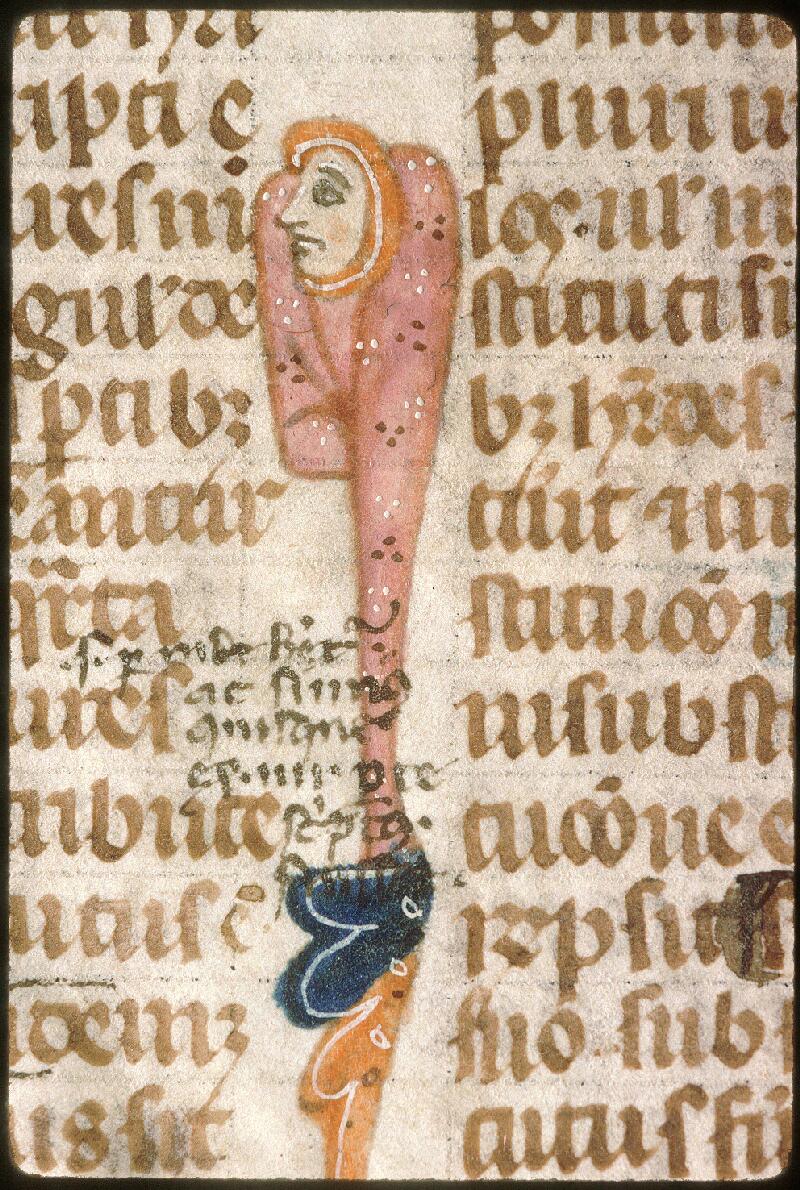 Avignon, Bibl. mun., ms. 0749, f. 011