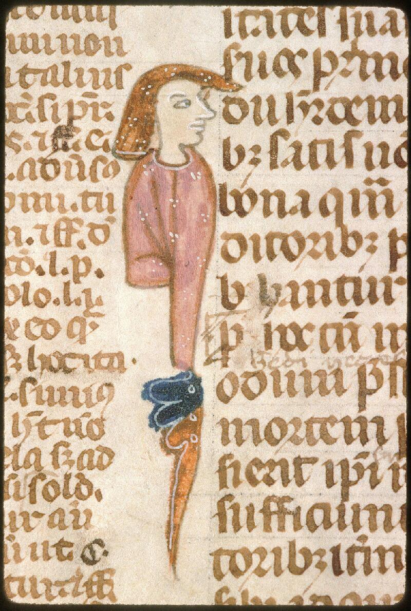 Avignon, Bibl. mun., ms. 0749, f. 013