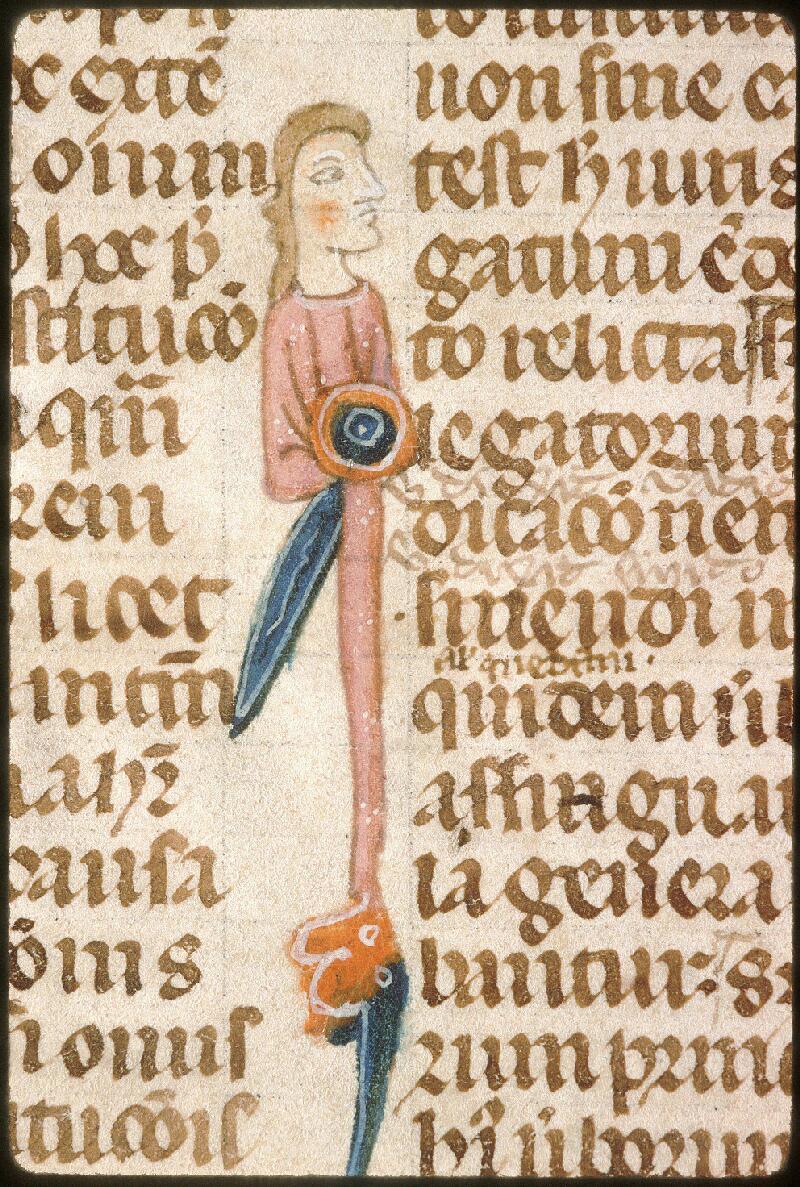 Avignon, Bibl. mun., ms. 0749, f. 013v