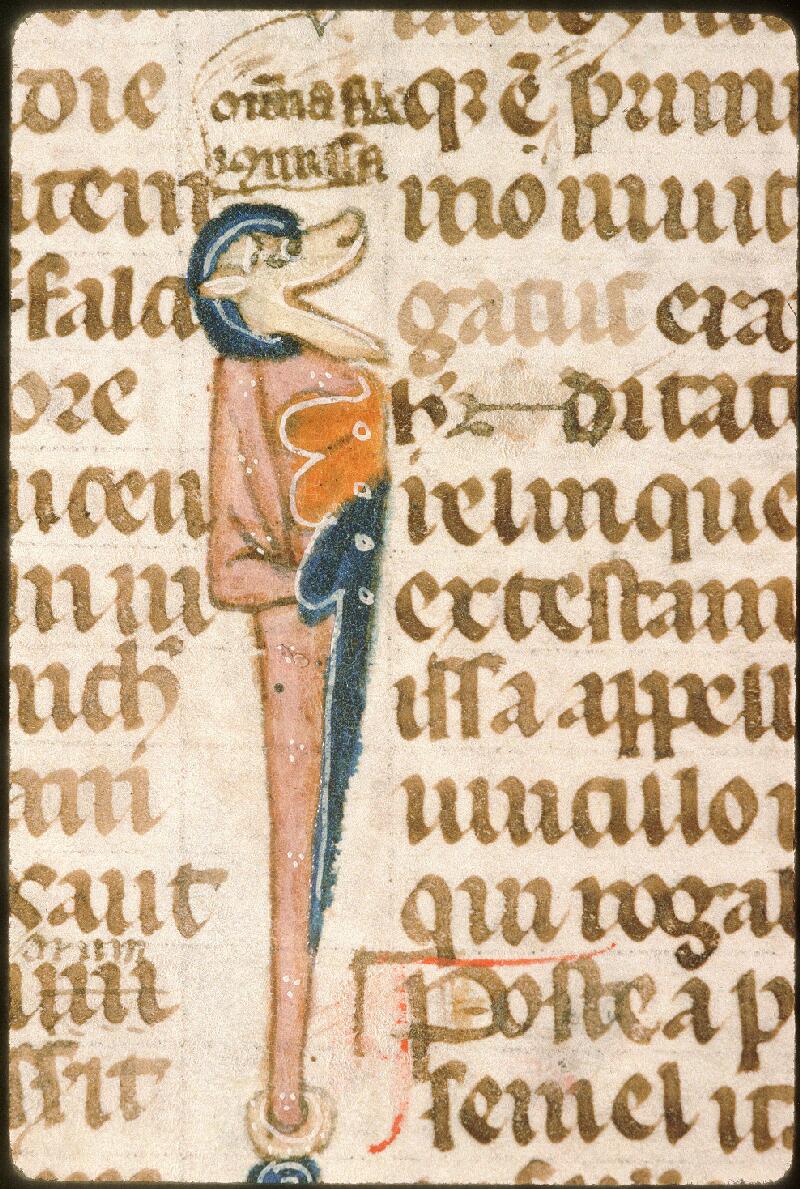 Avignon, Bibl. mun., ms. 0749, f. 016v