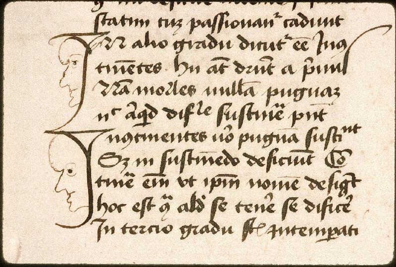 Avignon, Bibl. mun., ms. 0764, f. 053 - vue 2