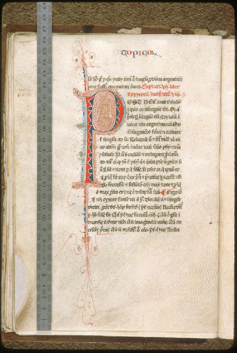 Avignon, Bibl. mun., ms. 1079, f. 017v - vue 1