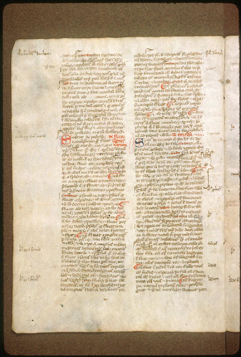 Avignon, Bibl. mun., ms. 0995, f. 005v - vue 1