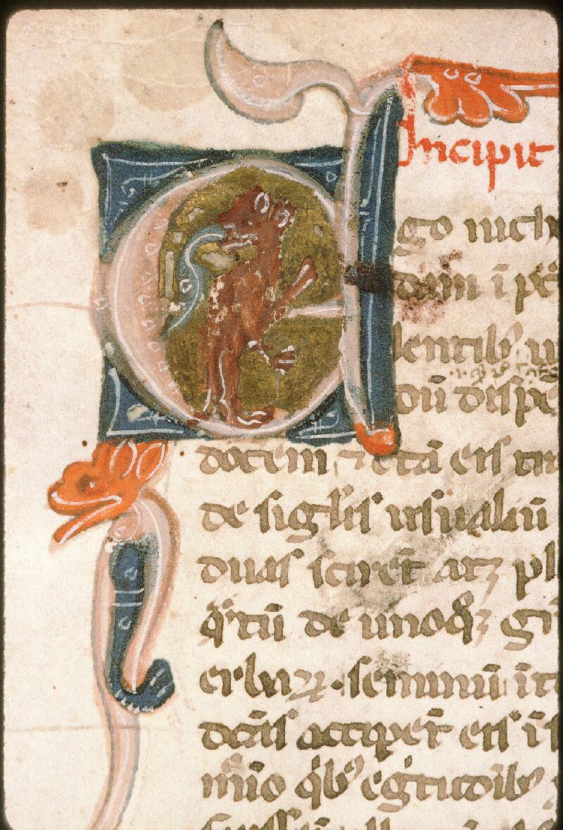 Avignon, Bibl. mun., ms. 0995, f. 047 - vue 2