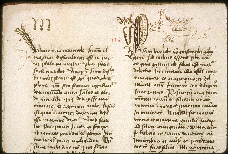Avignon, Bibl. mun., ms. 0764, f. 134