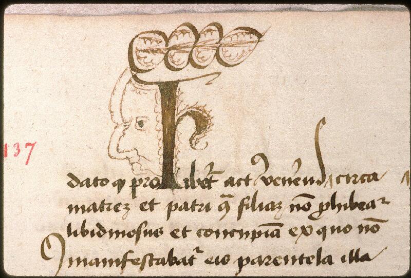 Avignon, Bibl. mun., ms. 0764, f. 137 - vue 3